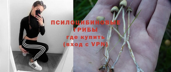 твердый Заволжск