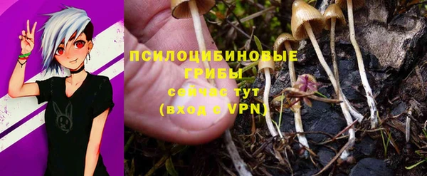 соль курить ск Елабуга