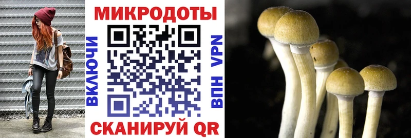 Псилоцибиновые грибы ЛСД  Купить где  Покачи 